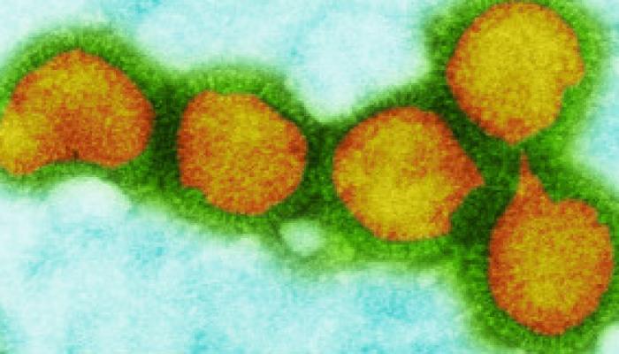 imagen del virus de influenza